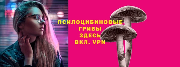 СК Заволжск