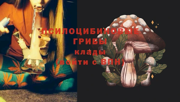 СК Заволжск