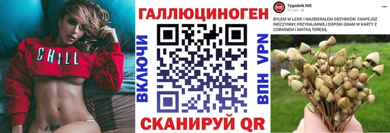 сайты даркнета как зайти Ипатово Галлюциногенные грибы ЛСД mega ONION